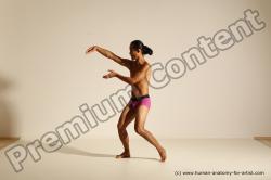 Elmer - Traditional Korean Art